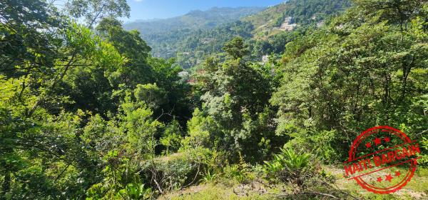 TERRAIN A VENDRE - ZONE: PELERIN