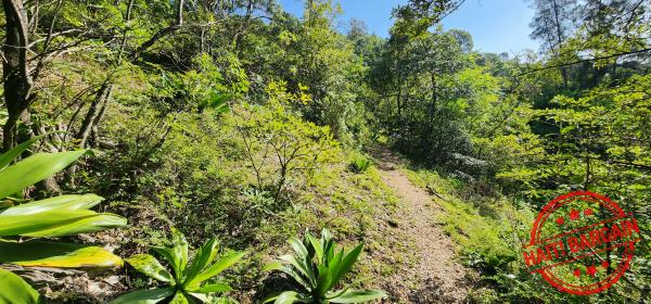 TERRAIN A VENDRE - ZONE: PELERIN