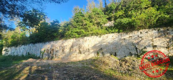 TERRAIN A VENDRE - ZONE: TARA'S