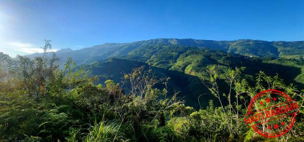 TERRAIN A VENDRE - ZONE: TARA'S