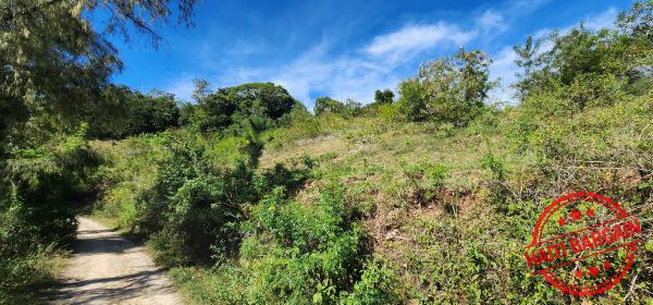 TERRAIN A VENDRE - ZONE: FORT JACQUES, LA MONTAGNE (BELLE VUE)