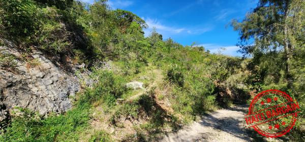 TERRAIN A VENDRE - ZONE: FORT JACQUES, LA MONTAGNE (BELLE VUE)