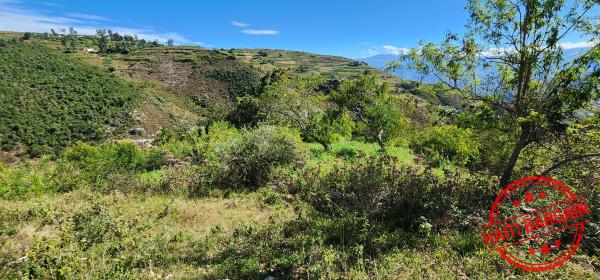 TERRAIN A VENDRE - ZONE: FORT JACQUES, LA MONTAGNE (BELLE VUE)