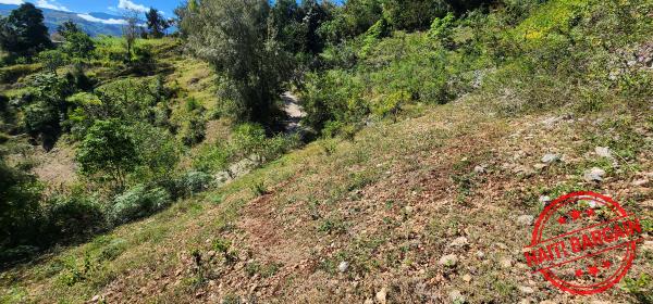 TERRAIN A VENDRE - ZONE: FORT JACQUES, LA MONTAGNE (BELLE VUE)