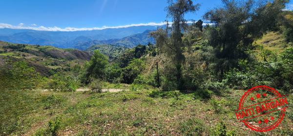 TERRAIN A VENDRE - ZONE: FORT JACQUES, LA MONTAGNE (BELLE VUE)