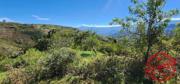 TERRAIN A VENDRE - ZONE: FORT JACQUES, LA MONTAGNE (BELLE VUE)