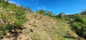 TERRAIN A VENDRE - ZONE: FORT JACQUES, LA MONTAGNE (BELLE VUE)