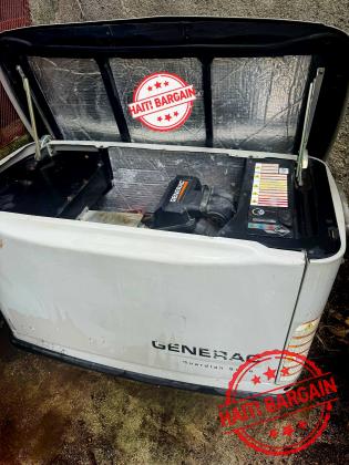 PROPANE GENERATOR 22 KW