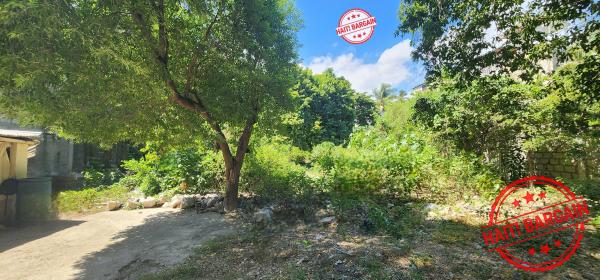 TERRAIN A VENDRE - ZONE: DELMAS 48