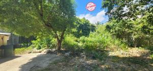 TERRAIN A VENDRE - ZONE: DELMAS 48