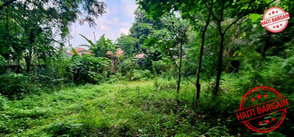 TERRAIN À VENDRE – MONTAGNE NOIRE