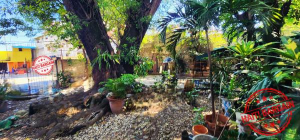 2 PROPRIÉTÉS À VENDRE – ZONE: PV