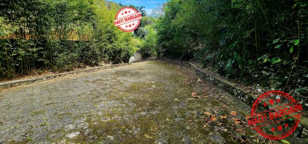 Terrain à vendre – Zone: Pelerin