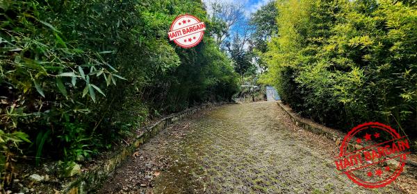 Terrain à vendre – Zone: Pelerin